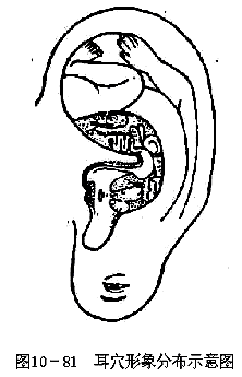 8a0074b944a5cf3359dc455e4e3ee294